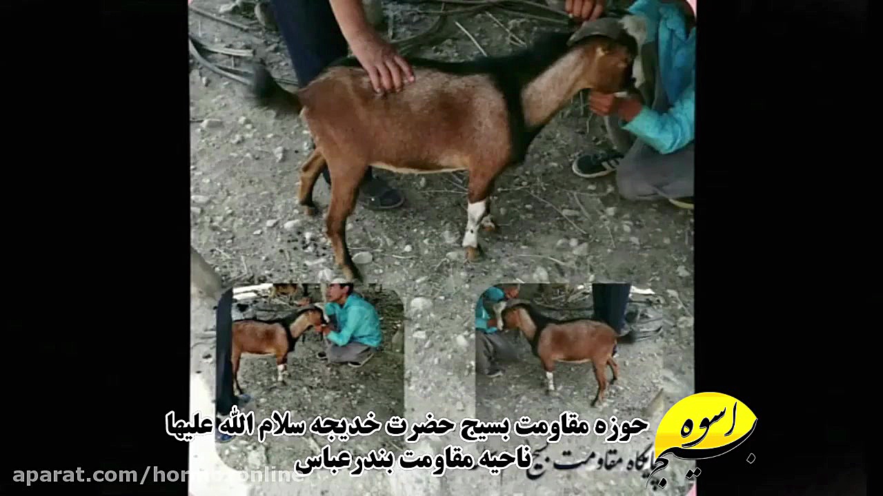 پوستر بزرگ