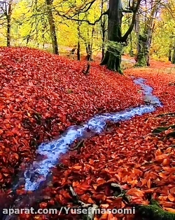 طبیعت گردی پاییزی بامهندس معصو...