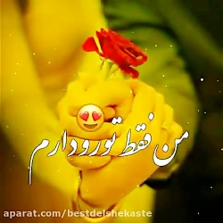 کلیپ عاشقانه شاد
