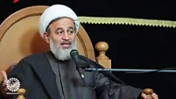 مفید و زیبا