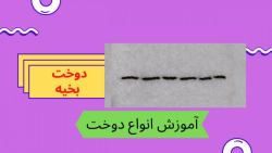 آموزش دوخت بخیه | انواع دوخت و کوک در خیاطی، گل دوزی، نمددوزی و چرم دوزی