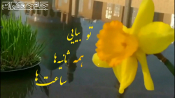 کلیپ عاشقانه امام زمان عج