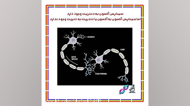انتقال پیام عصبی- علوم هشتم - نسرین صفری زیست شناسی وعلوم _ نسرین صفری