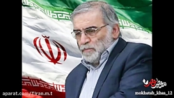 استوری شهادت محسن فخری زاده