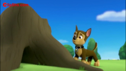 کارتون سگهای نگهبان دوبله