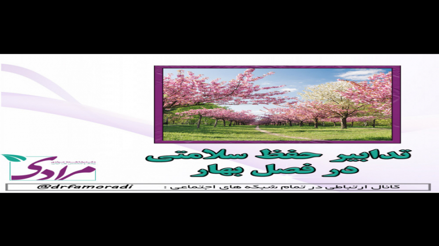 مشخصات نان سالم دکتر فاطمه مرادی متخصص طب ایرانی