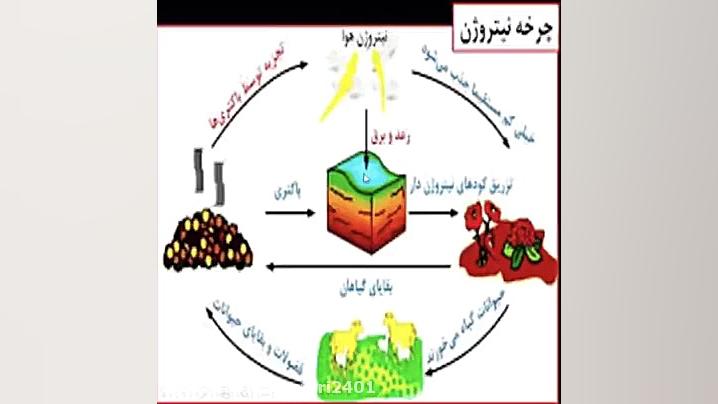 چرخه نیتروژن - علوم نهم - نسرین صفری زیست شناسی وعلوم _ نسرین صفری