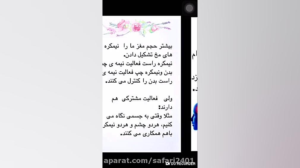 مخ - علوم هشتم - زیست شناسی وعلوم _ نسرین صفری