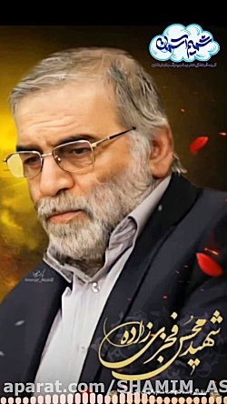 شهادت شهید محسن فخری زاده