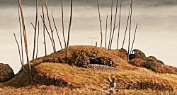 انیمیشن آقای فاکس شگفت انگیز ب...