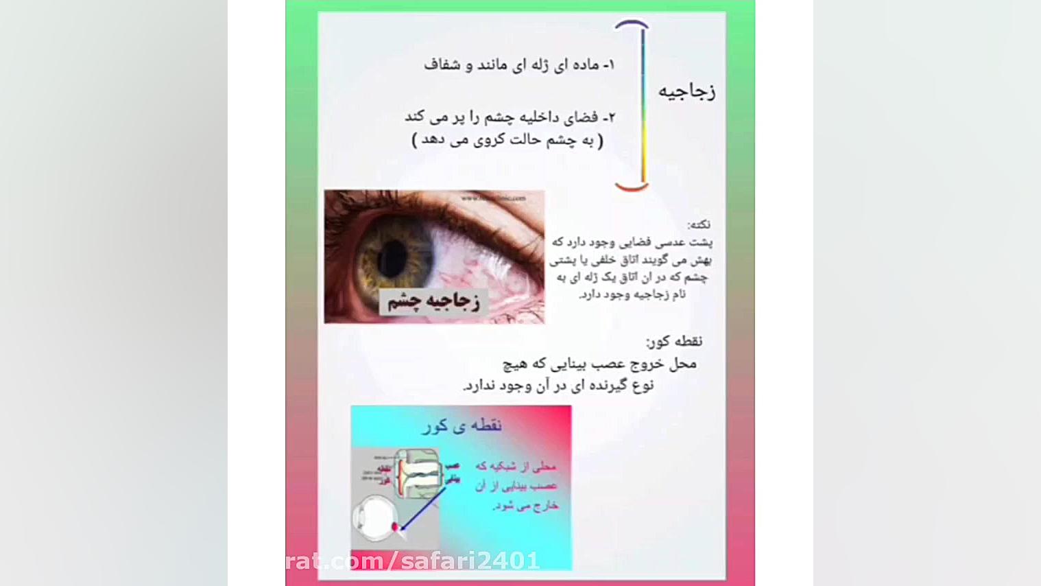 چشم - علوم هشتم- نسرین صفری زیست شناسی وعلوم _ نسرین صفری