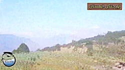 تور جنگل الیمستان