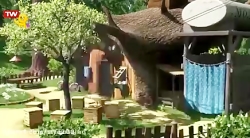 ماشا و میشا | کارتون مخصوص کود...