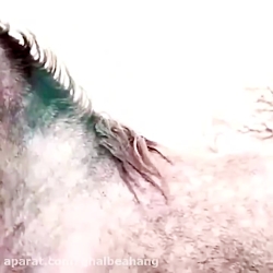 آهنگ لری بختیاری ... آهنگ محلی...