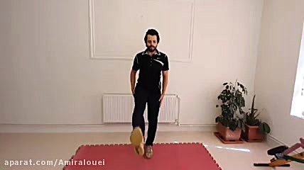 Amiralouei
