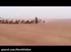 دانلود طنز.جنگ جهانی سوم با ور...