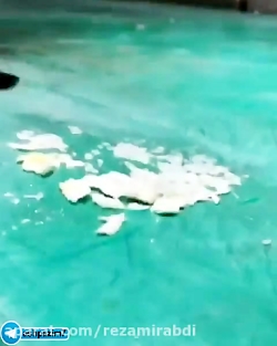 درست کردن جوجه کباب