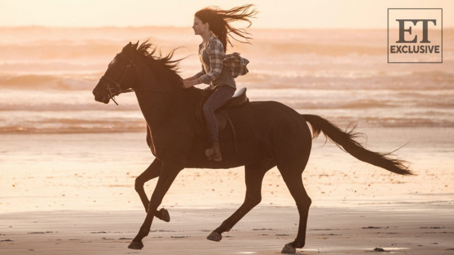 فیلم Black Beauty 2020 زیبای سیاه با زیرنویس فارسی زمان6506ثانیه