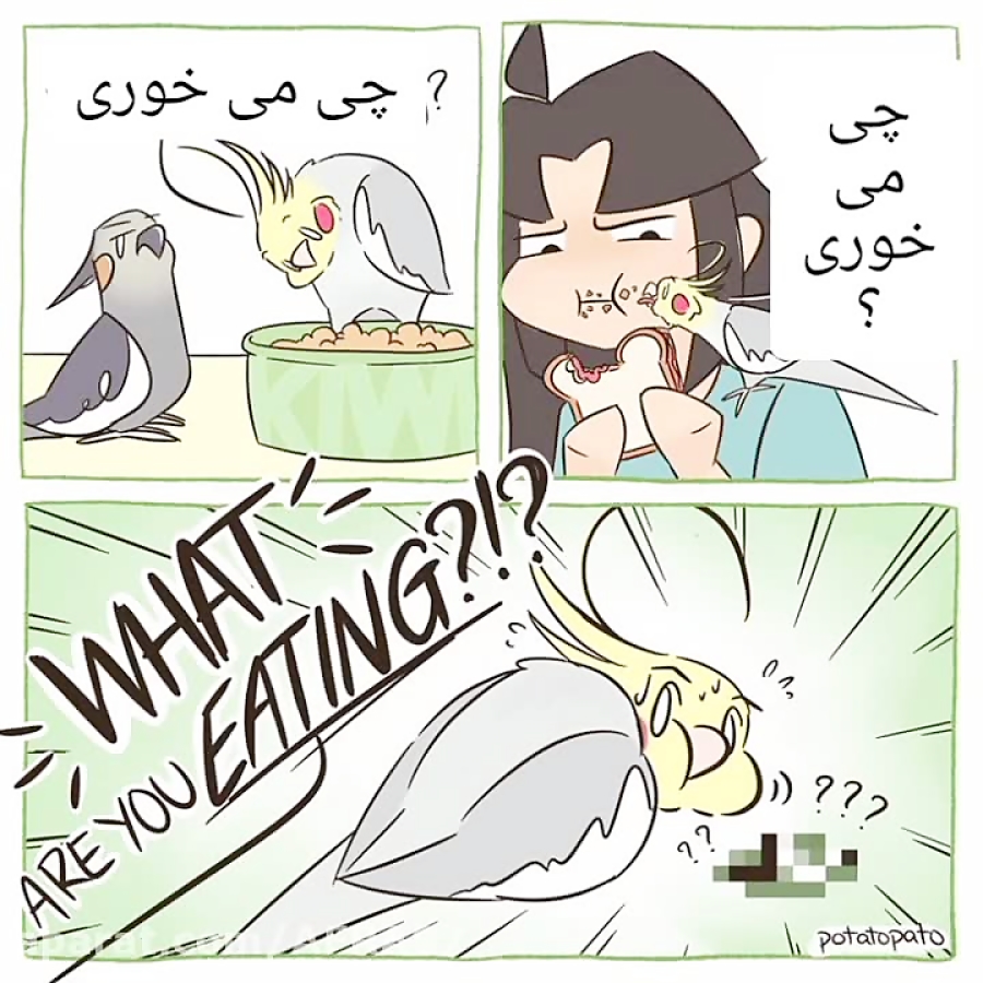 یه کمیک بامزه از عروس هلندی