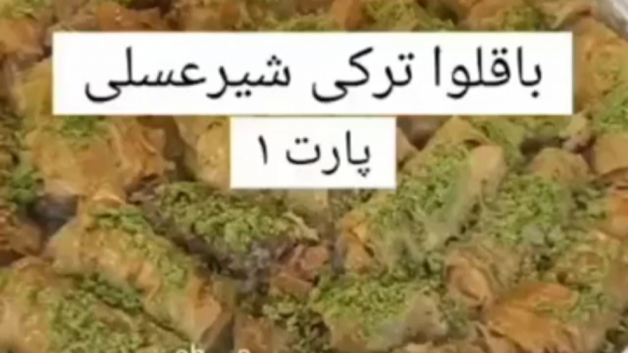 mina_diba2