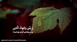 دعای عهد | علی فانی