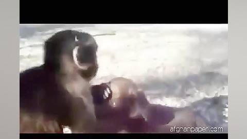 انسانها بی رحم تر از حیوانات 18 نمی توانید نبینید لیفت صورت