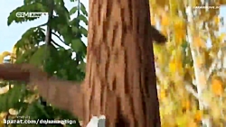 ماشا و میشا | کارتون مخصوص کود...