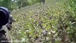 بی مسئولیتی و کشتار توسط سرباز...