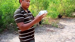 تله کبوتر خیلی باحال