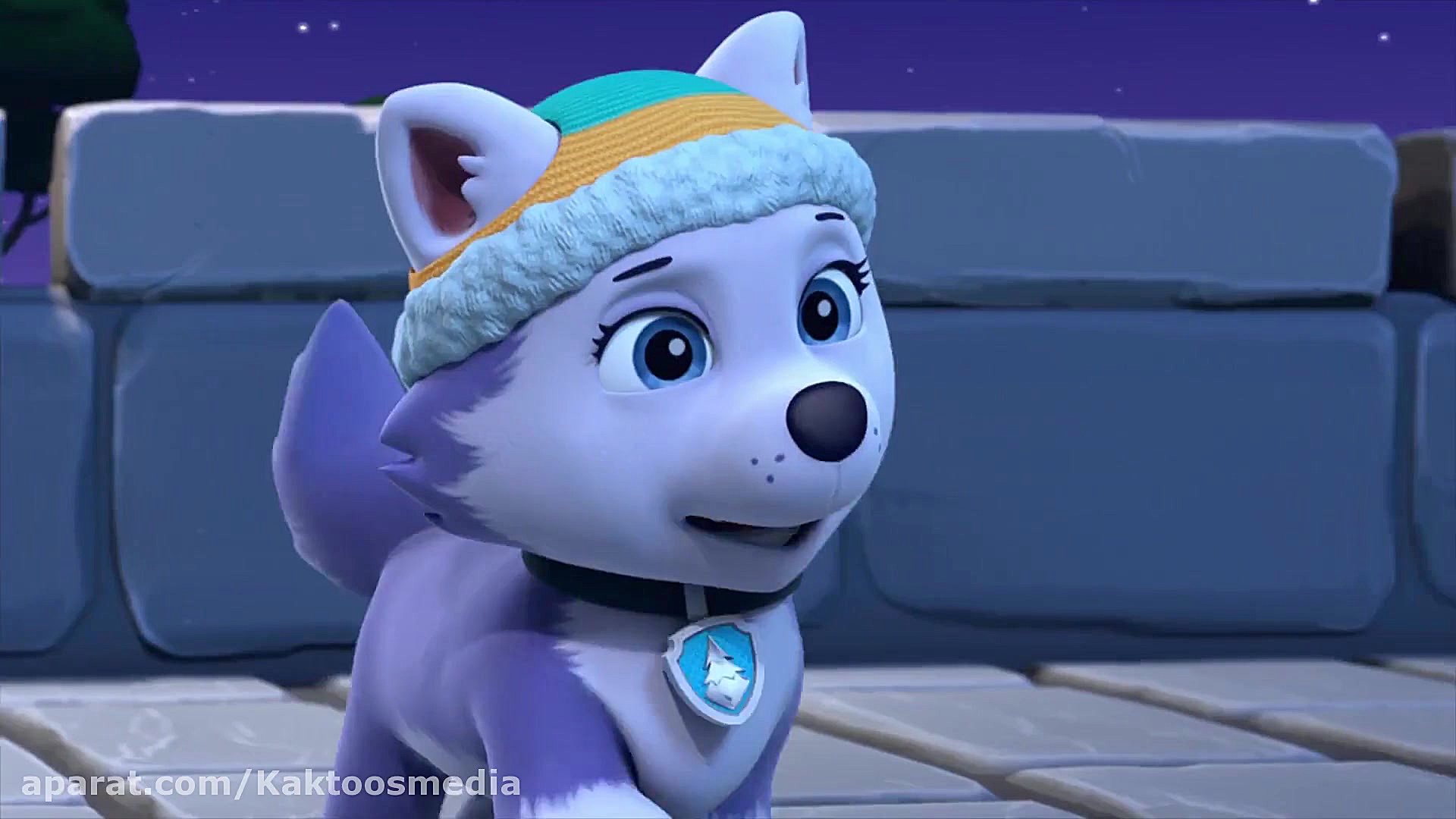 انیمیشن سگ های نگهبان جت برای نجات Paw Patrol 2020 با دوبله فارسی زمان2640ثانیه