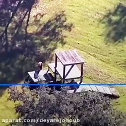 زن ۶۹ ساله از حمله ببر جان سالم بدر برد