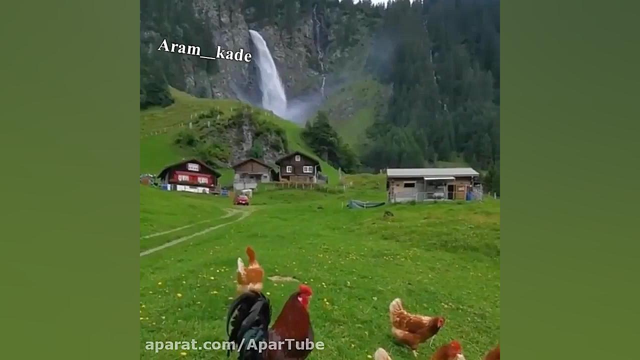آهنگ محبوب حسین توکلی - بیخوابی میزند به سرم چند شب است آرام ندارم پریودنتیکس