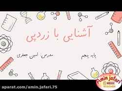 زردپی( تاندون)