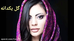 آهنگ محلی افغانی / بسیار زیبا...