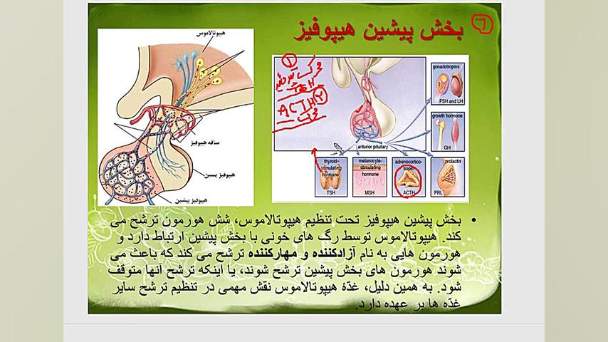 دستگاه درون ریز سحر قریشی
