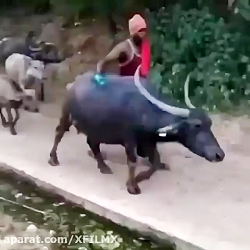 کلیپ خنده دار