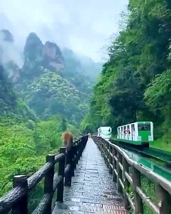 پارک ملی ژانگجیاجی چین