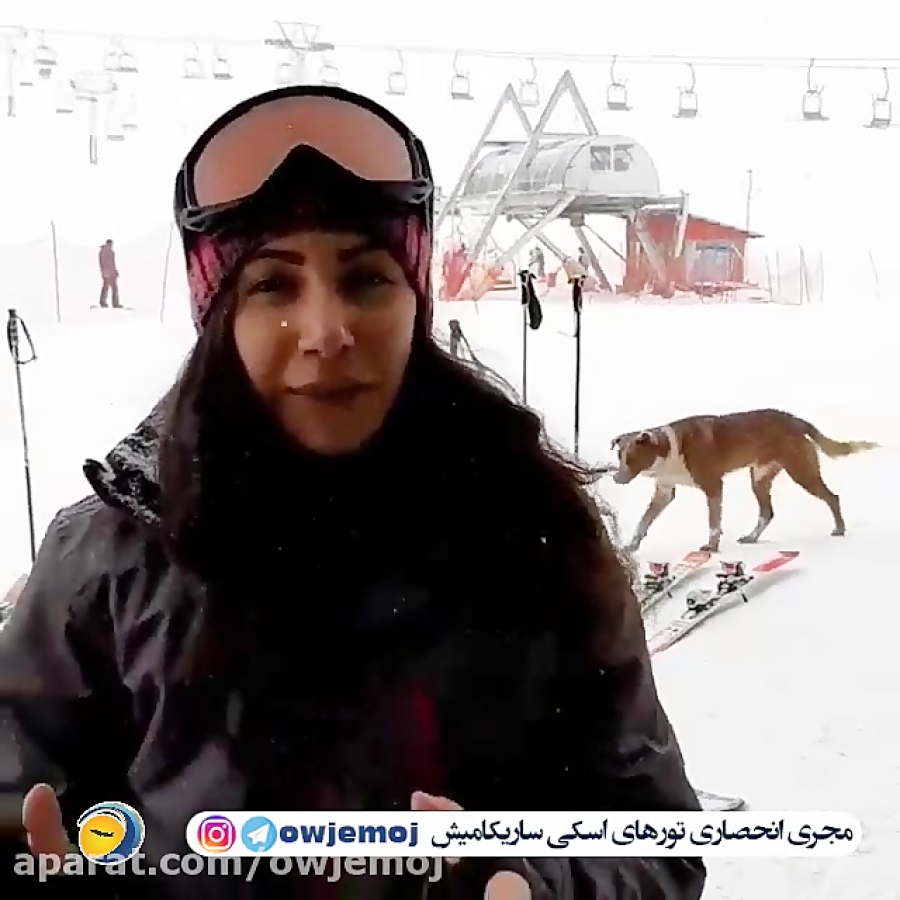 آموزش رایگان یوگا در ساریکامیش