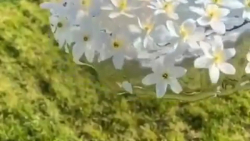 سلام صبحت بخیر