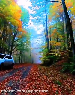 این حالی که دارم میثم ابراهیمی