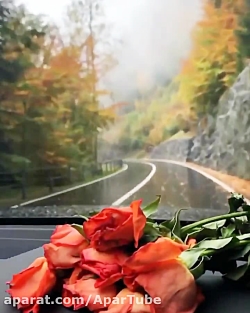 آهنگ بسیار زیبای حامد همایون