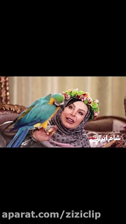 سوپرایز متفاوت شهرزاد کمال زاد...