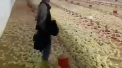 مردم ایران وقتی چیزی گرون میشه