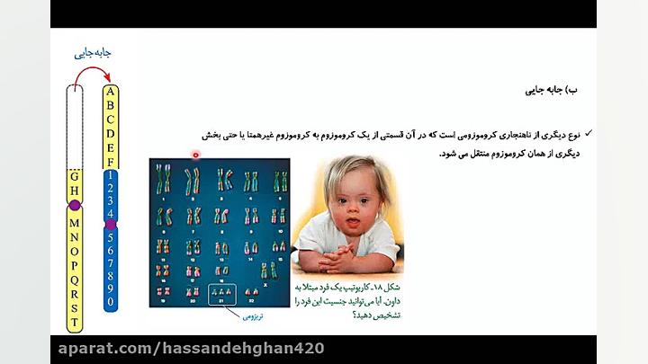 جلسه بیست و پنجم تدریس زیست شناسی پایه دوازدهم تجربی رفع غبغب