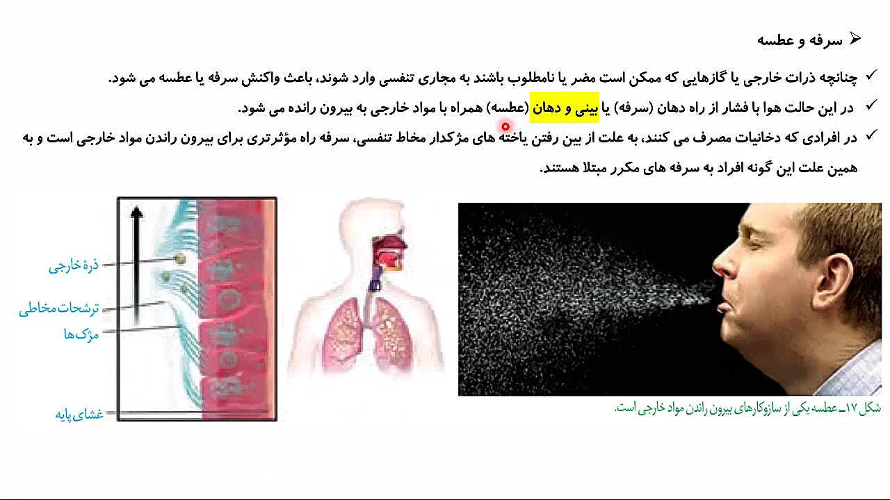جلسه بیست و یکم تدریس زیست دهم مزوتراپی