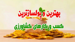 طریقه نقره کردن پیاز زعفران،مه...