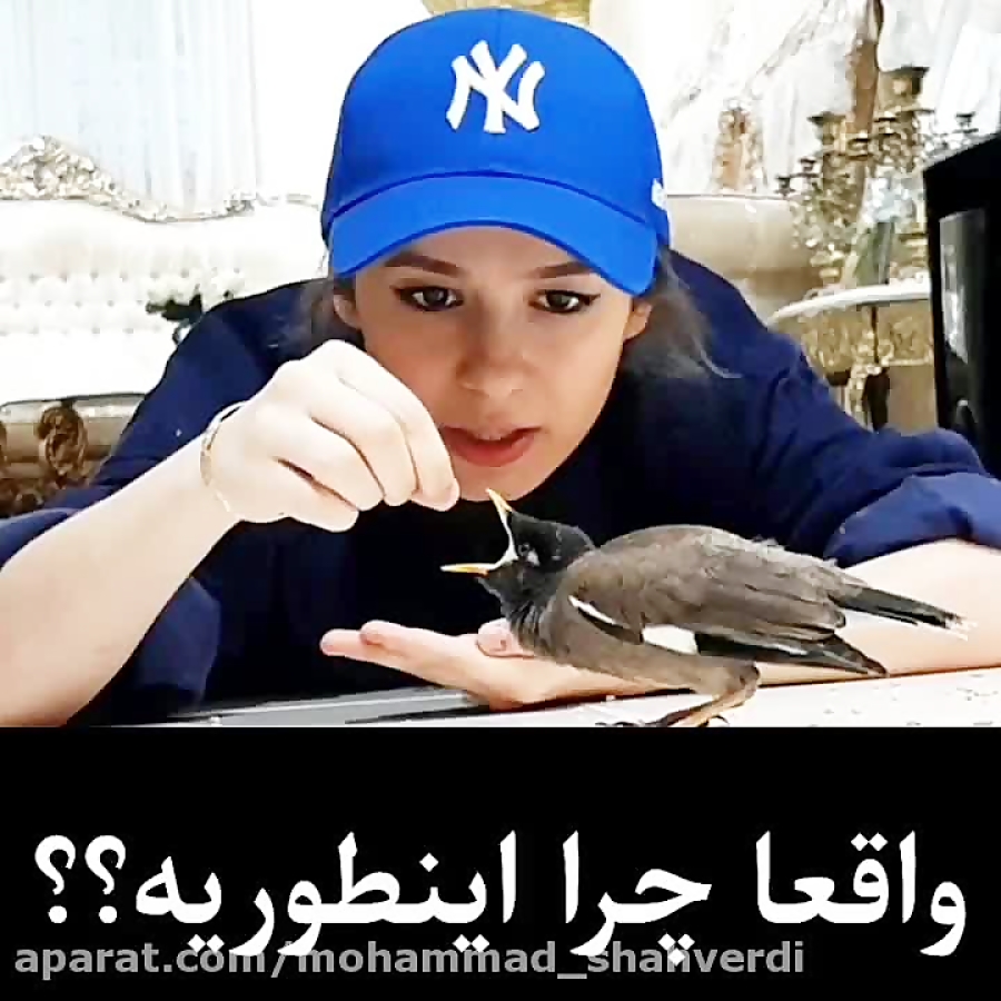 طنز جدید پریسا | پریسا پورمشکی...