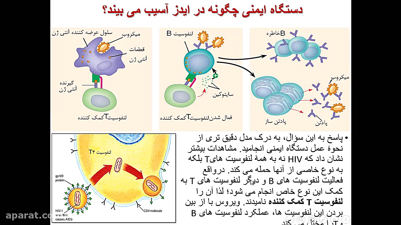 اختلال در دستگاه ایمنی جراحی زیبایی پلک