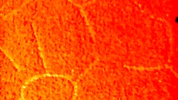 اسباب بازی های بن تن من