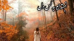 آهنگ زیبای همایون شجریان